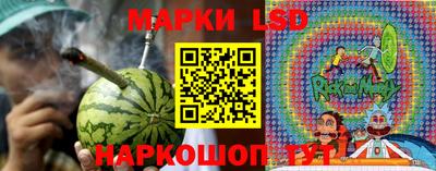 крисы Новокубанск