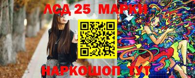 крисы Новокубанск