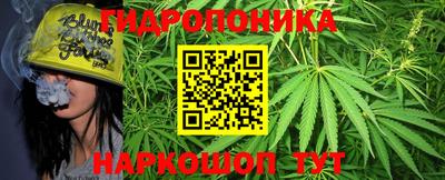 гидропоника Новодвинск