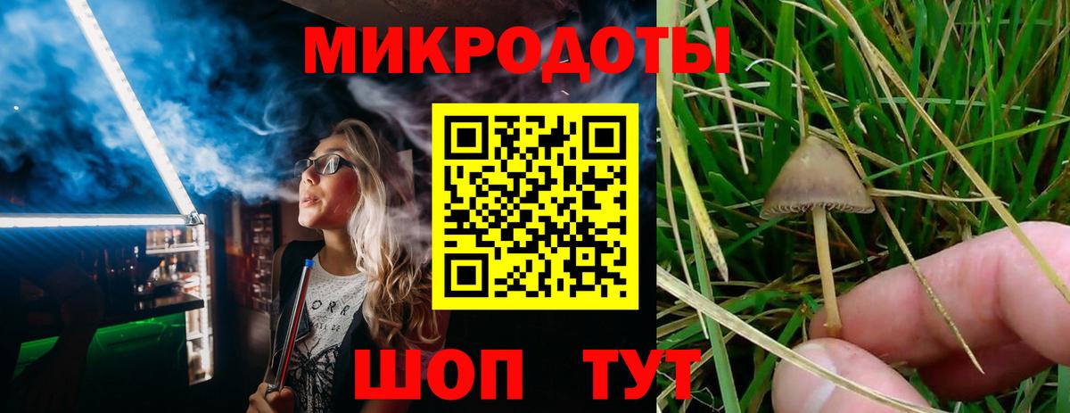 Галлюциногенные грибы мицелий Тавда