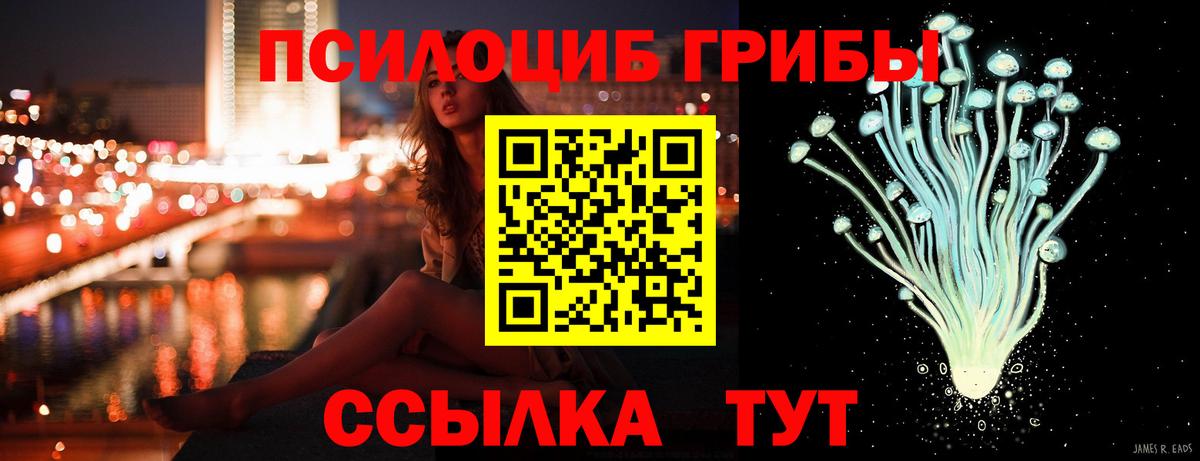 Псилоцибиновые грибы Magic Shrooms  Вход с VPN  Галлюциногенные грибы Cubensis  Тавда 